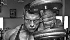 Flex Lewis