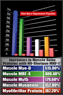 muscle-gene-graph.jpg