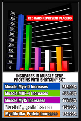 Increases in Muscle Gene Proteins With SHOTGUN 5X
