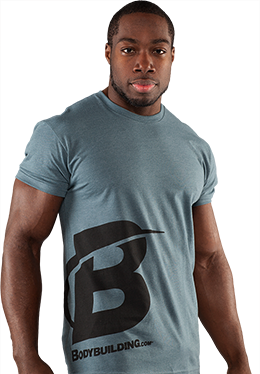 Giant B Tee Indigo