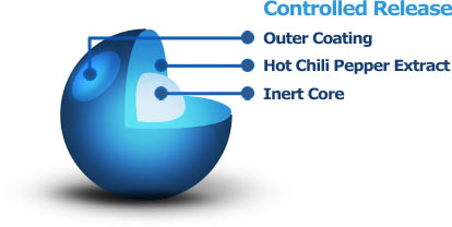 Controlled Release Beadlet Technology