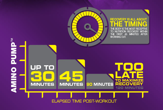 Recovery is all about the timing. The body is the most receptive to nutrition recovery within the first 45 minutes after working out. Up to 30 minutes. 45 minutes. 90 minuetes. Too late to maximize recovery 120 minutes. Elapsed time post-workout.