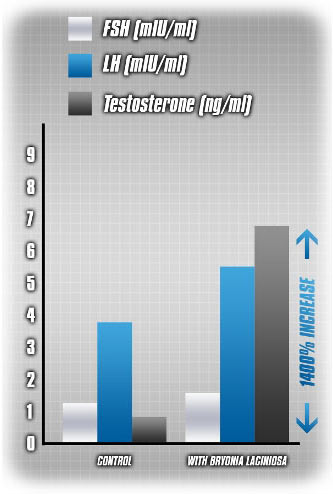 FSH. LH. TESTOSTERONE. Control. With Byronia Laginosa. 1400% INCREASE.