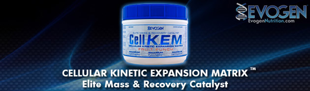 Cell K.E.M.