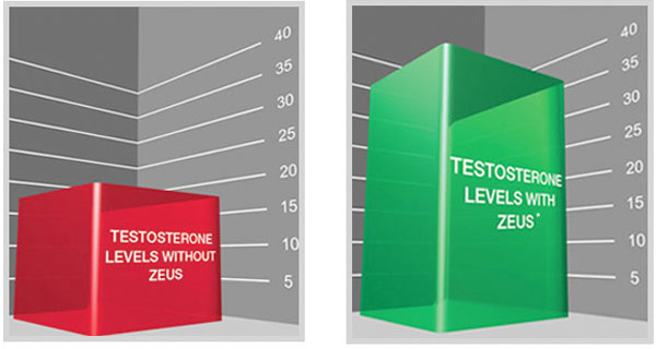 Testosterone levels with and without Zeus