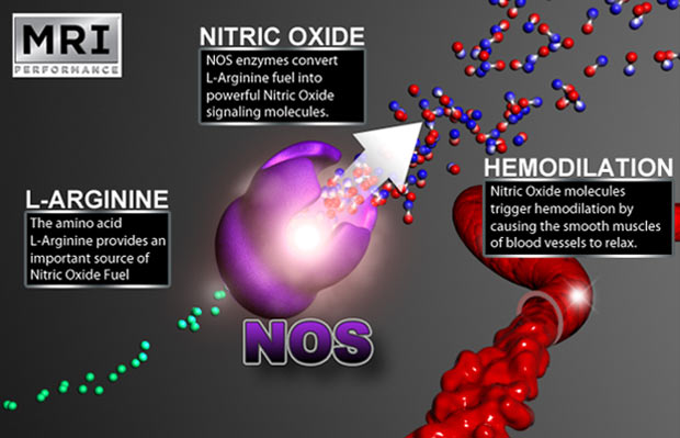 L-Arginine > Nitric Oxide > Hemodilation