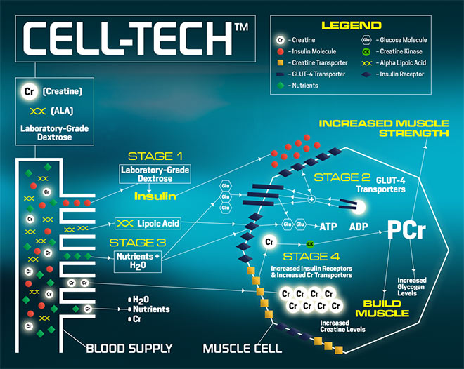 CELL-TECH. How Cell-Tech Works.