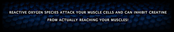 Reactive oxygen species attack your muscle cells and inhibit creatine from actually reaching your muscles!