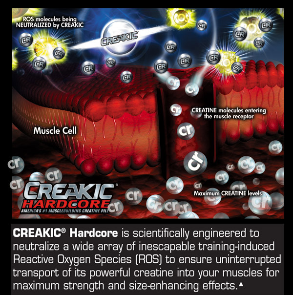How does CREAKIC Hardcore Work?