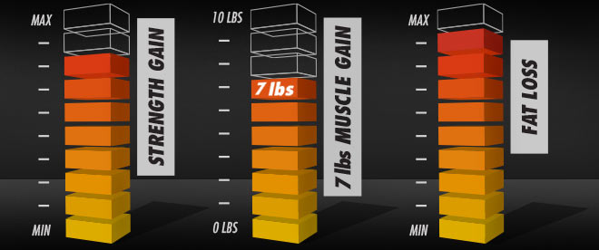 Strength Gain. 7 Lbs. Muscle Gain. Fat Loss.