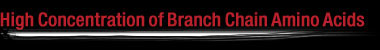 High Concentration of Branch Chain Amino Acids