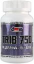 4Ever Fit Trib 750