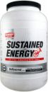 Hammer Nutrition Sustained Energy