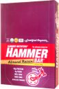 Hammer Nutrition Hammer Bar