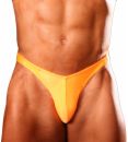 Suits by Amy Standard Posing Trunks