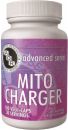 AOR Mito Charger