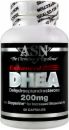ASN Enhanced DHEA