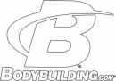 Bodybuilding.com Accessories B Swoosh Decal