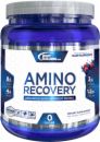 Bodybuilding.com Platinum Series AMINO RECOVERY