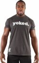 Bodybuilding.com Clothing Core Yoked Tee