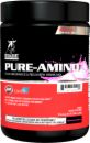 Betancourt Nutrition Pure Amino