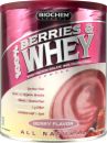 Biochem 100% Berries & Whey