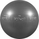 GoFit Pro Stability Ball