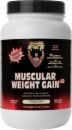 Healthy 'N Fit Muscular Weight Gain v3.0