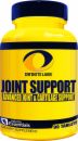 Infinite Labs Joint Support