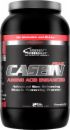 Inner Armour Casein AAE