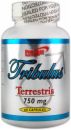 ProFight Tribulus Terrestris