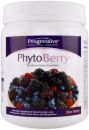 Proventive Nutritional Therapies PhytoBerry
