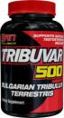 S.A.N. Tribuvar