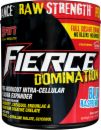 S.A.N. Fierce Domination
