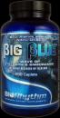 BioRhythm Big Blue