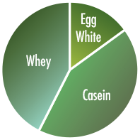 Whey. Egg White. Casein.