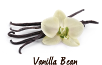 Vanilla Bean