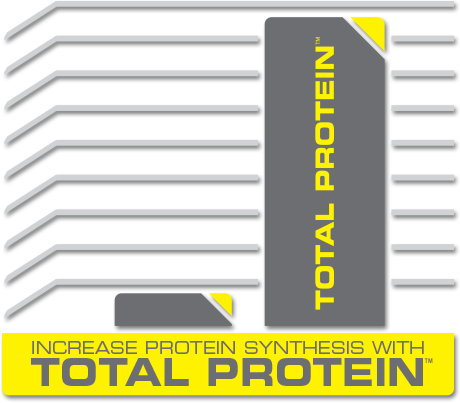 Cutler Nutrition - Total Protein Muscle Building Sustain Protein Powder  Creamy Vanilla 30 Servings - 2.17 lbs. 