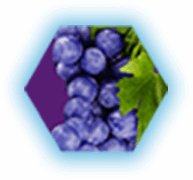 Furious Grape