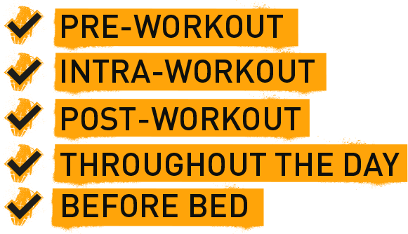 Pre-Workout. Intra-Workout. Post-Workout. Throughout the Day. Before Bed.