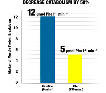 Decrease Catabolism by 58%