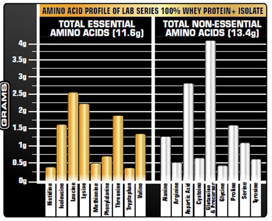 Amino Acid Lab Series 100% Whey Protein + Isolate