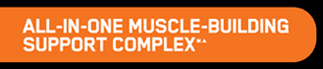 All-In-One Muscle-Building Support Complex*