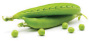 Image of a pea vegetable
