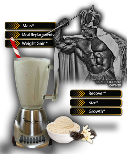 kingmass-header-img.png
