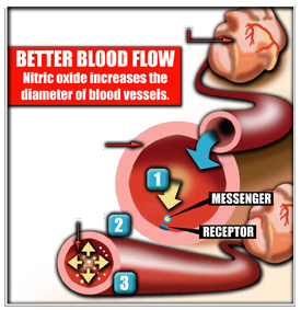 bloodflow-illustration