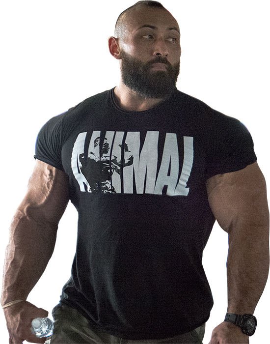 Animal Iconic T-Shirt by Universal Nutrition at Bodybuilding.com ...