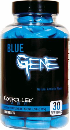Blue Gene