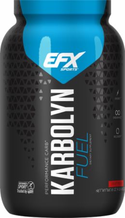 Image of Karbolyn Fuel Fruit Punch 4.4 Lbs. - Post-Workout Recovery EFX Sports