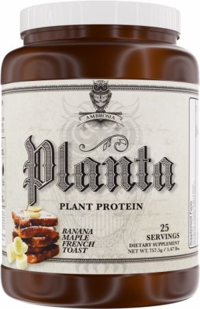 Planta